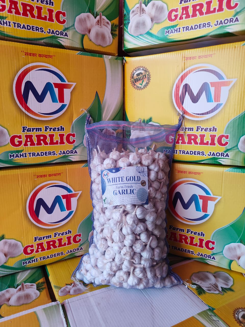 20kg Garlic Pack